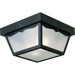 Ceiling Mount Outdoor Flush Mount-Exterior-Progress Lighting-Lighting Design Store