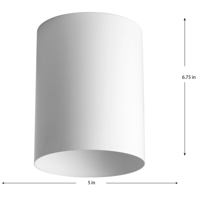 Cylinder LED Cylinder-Exterior-Progress Lighting-Lighting Design Store