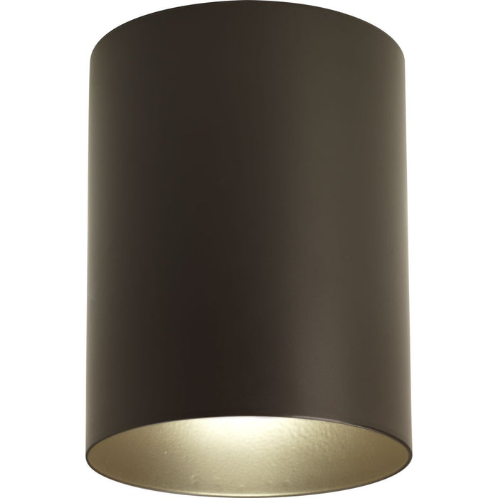 Cylinder Outdoor Ceiling Mount-Exterior-Progress Lighting-Lighting Design Store