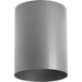 Cylinder LED Cylinder-Exterior-Progress Lighting-Lighting Design Store