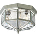 Three Light Close-to-Ceiling-Flush Mounts-Progress Lighting-Lighting Design Store