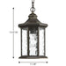 Edition Hanging Lantern-Exterior-Progress Lighting-Lighting Design Store