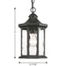 Edition Hanging Lantern-Exterior-Progress Lighting-Lighting Design Store