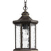 Edition Hanging Lantern-Exterior-Progress Lighting-Lighting Design Store