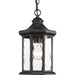Edition Hanging Lantern-Exterior-Progress Lighting-Lighting Design Store