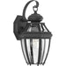 New Haven Wall Lantern-Exterior-Progress Lighting-Lighting Design Store