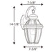 New Haven Wall Lantern-Exterior-Progress Lighting-Lighting Design Store