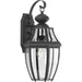New Haven Wall Lantern-Exterior-Progress Lighting-Lighting Design Store