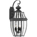 New Haven Wall Lantern-Exterior-Progress Lighting-Lighting Design Store