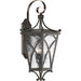 Cadence Wall Lantern-Exterior-Progress Lighting-Lighting Design Store