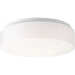 Drums And Clouds LED Flush Mount-Flush Mounts-Progress Lighting-Lighting Design Store