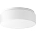 Drums And Clouds LED Flush Mount-Flush Mounts-Progress Lighting-Lighting Design Store
