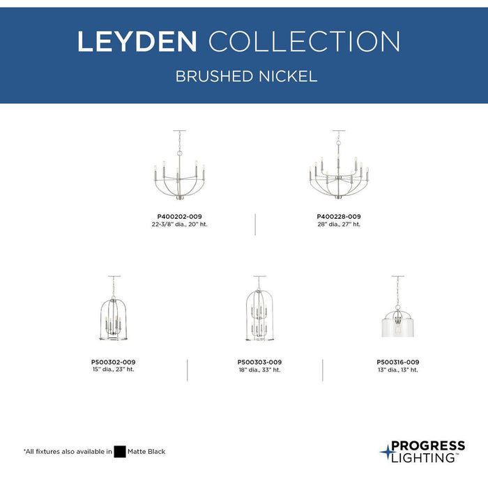 Leyden Pendant-Pendants-Progress Lighting-Lighting Design Store