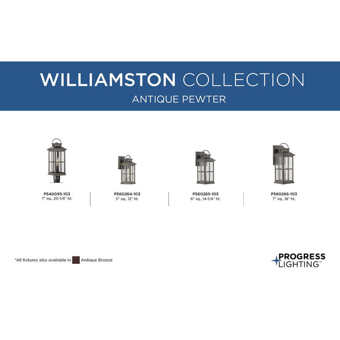 Williamston Post Lantern-Exterior-Progress Lighting-Lighting Design Store