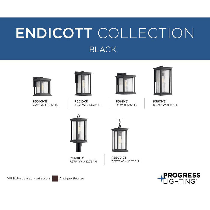 Endicott Hanging Lantern-Exterior-Progress Lighting-Lighting Design Store