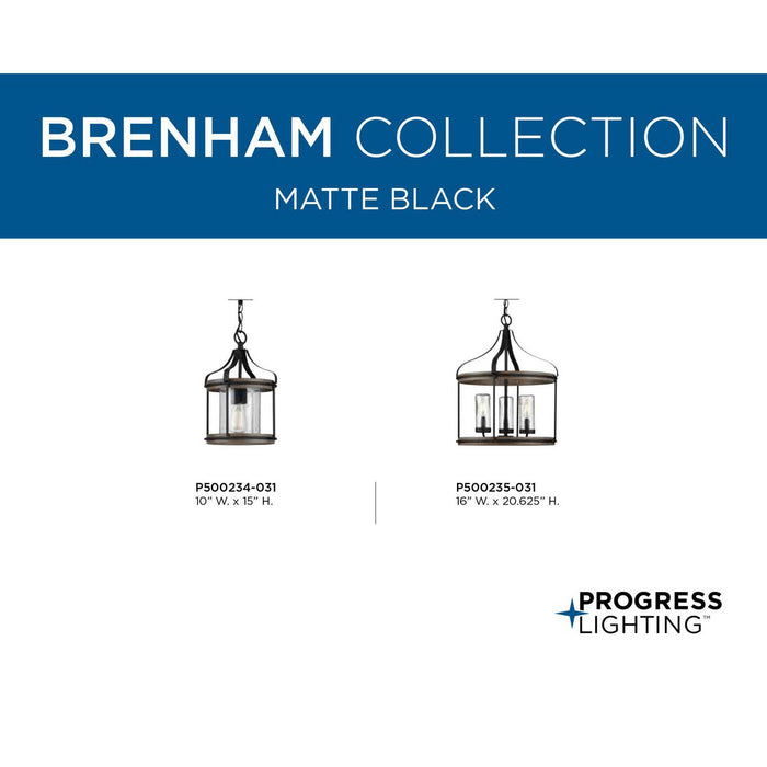 Brenham Outdoor Pendant-Exterior-Progress Lighting-Lighting Design Store