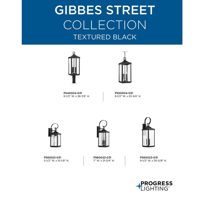 Gibbes Street Hanging Lantern-Exterior-Progress Lighting-Lighting Design Store