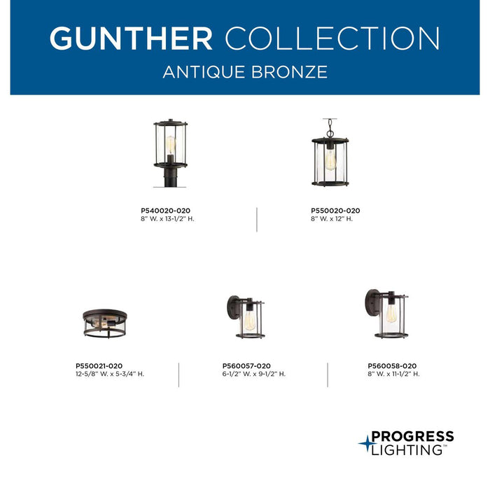 Gunther Post Lantern-Exterior-Progress Lighting-Lighting Design Store