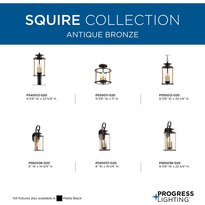Squire Post Lantern-Exterior-Progress Lighting-Lighting Design Store