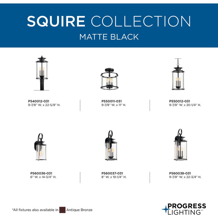 Squire Semi-Flush convertible-Exterior-Progress Lighting-Lighting Design Store