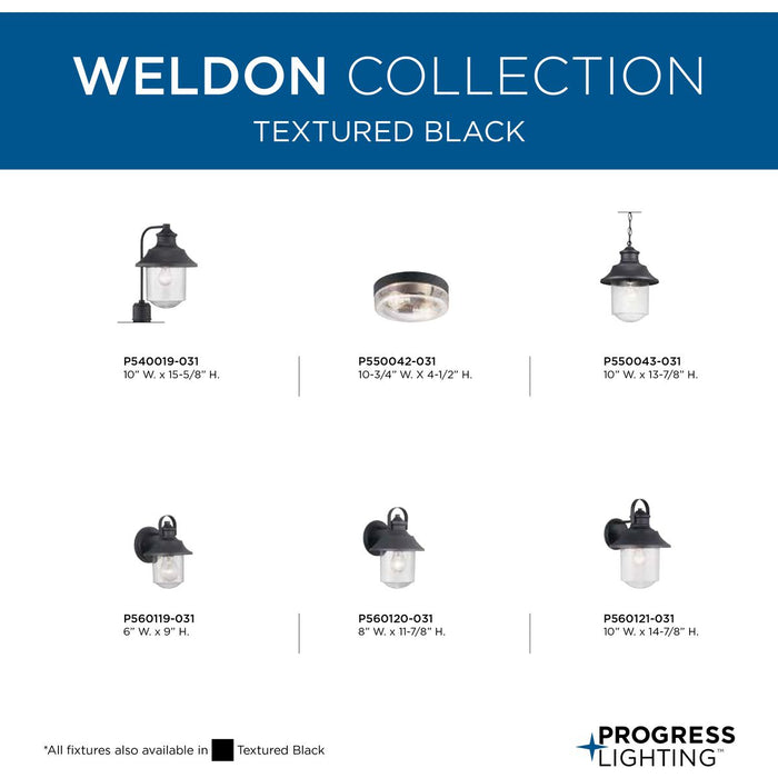 Weldon Flush Mount-Exterior-Progress Lighting-Lighting Design Store