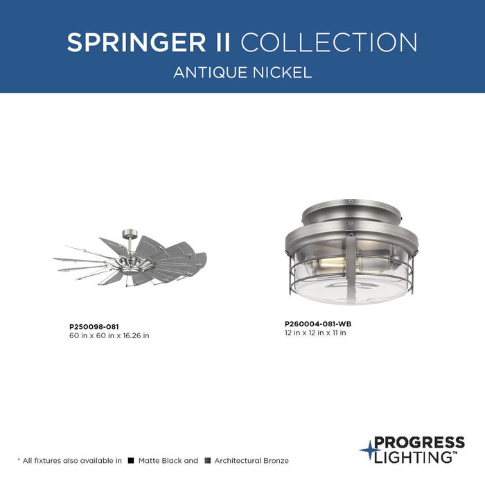 Springer Ii Fan Light Kit-Fans-Progress Lighting-Lighting Design Store