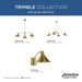 Trimble Wall Bracket-Lamps-Progress Lighting-Lighting Design Store