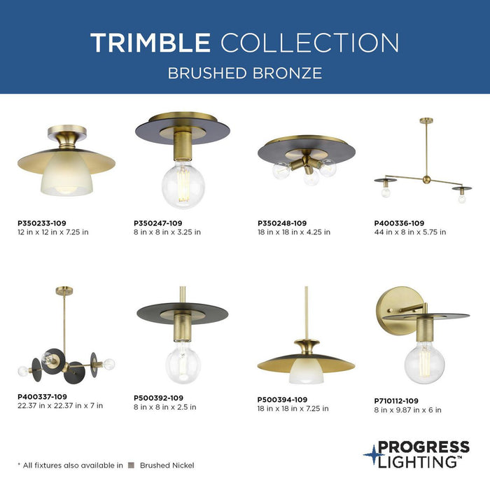 Trimble Flush Mount-Flush Mounts-Progress Lighting-Lighting Design Store
