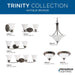 Trinity Flush Mount-Flush Mounts-Progress Lighting-Lighting Design Store
