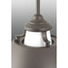 Carbon Pendant-Pendants-Progress Lighting-Lighting Design Store