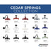 Cedar Springs Outdoor Pendant-Exterior-Progress Lighting-Lighting Design Store
