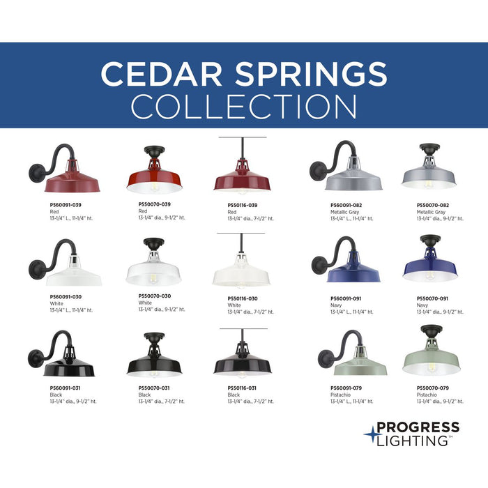 Cedar Springs Semi Flush Mount-Exterior-Progress Lighting-Lighting Design Store