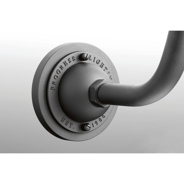 Cedar Springs Wall Lantern-Exterior-Progress Lighting-Lighting Design Store