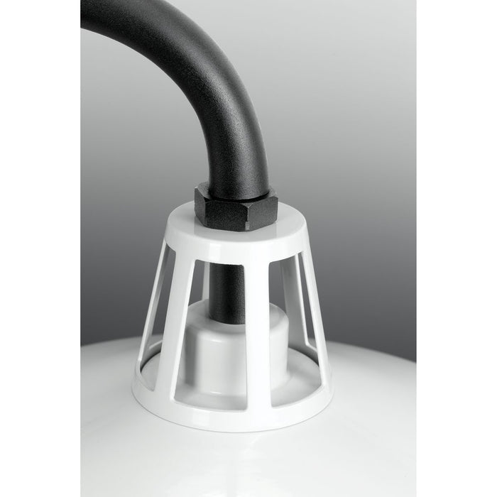 Cedar Springs Wall Lantern-Exterior-Progress Lighting-Lighting Design Store