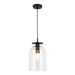 Sylvia One Light Pendant Matte Black/Clear Glass-Mini Pendants-Alora-Lighting Design Store