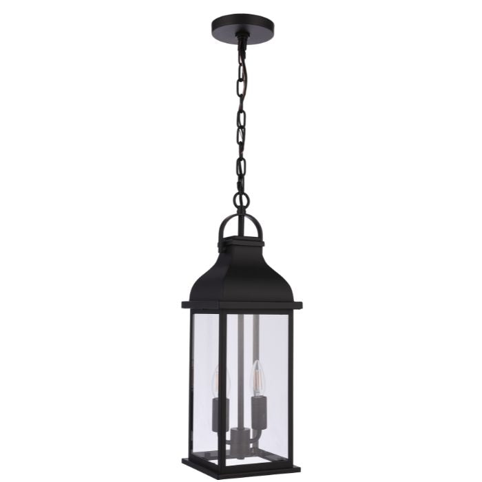 Bent Tree Two Light Outdoor Pendant-Exterior-Craftmade-Lighting Design Store