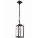 Marin One Light Outdoor Pendant-Exterior-Craftmade-Lighting Design Store