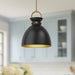 Waldo One Light Pendant Aged Gold/Matte Black-Pendants-Alora-Lighting Design Store