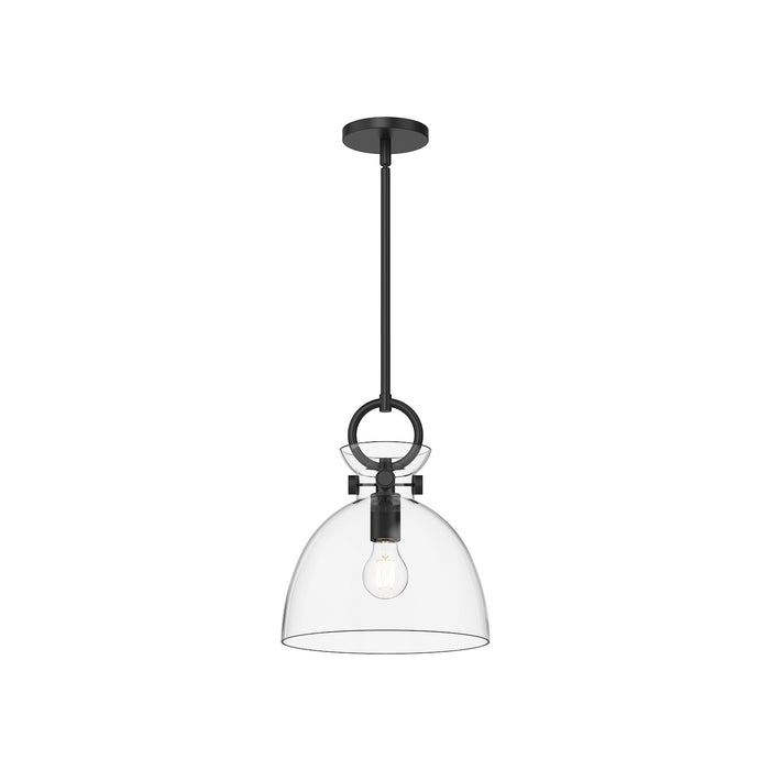 Waldo One Light Pendant Matte Black/Clear Glass-Mini Pendants-Alora-Lighting Design Store