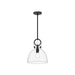 Waldo One Light Pendant Matte Black/Clear Glass-Mini Pendants-Alora-Lighting Design Store