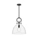 Waldo One Light Pendant Matte Black/Clear Glass-Pendants-Alora-Lighting Design Store