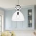 Waldo One Light Pendant Matte Black/Clear Glass-Pendants-Alora-Lighting Design Store