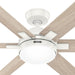 Georgetown 52"Ceiling Fan-Fans-Hunter-Lighting Design Store