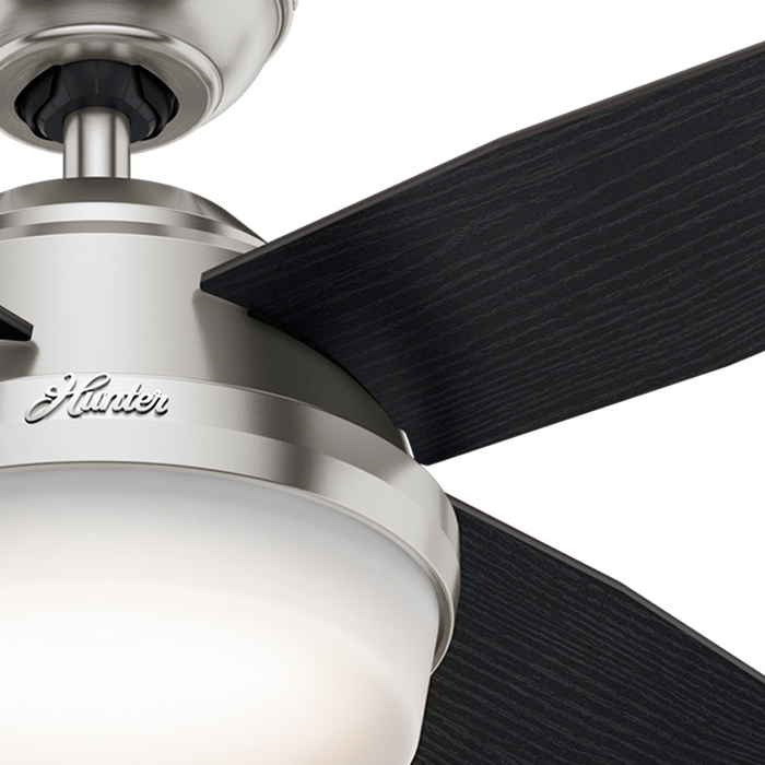 Dempsey 44" Ceiling Fan-Fans-Hunter-Lighting Design Store