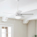 Anslee 46" Ceiling Fan-Fans-Hunter-Lighting Design Store