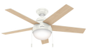 Anslee 46" Ceiling Fan-Fans-Hunter-Lighting Design Store