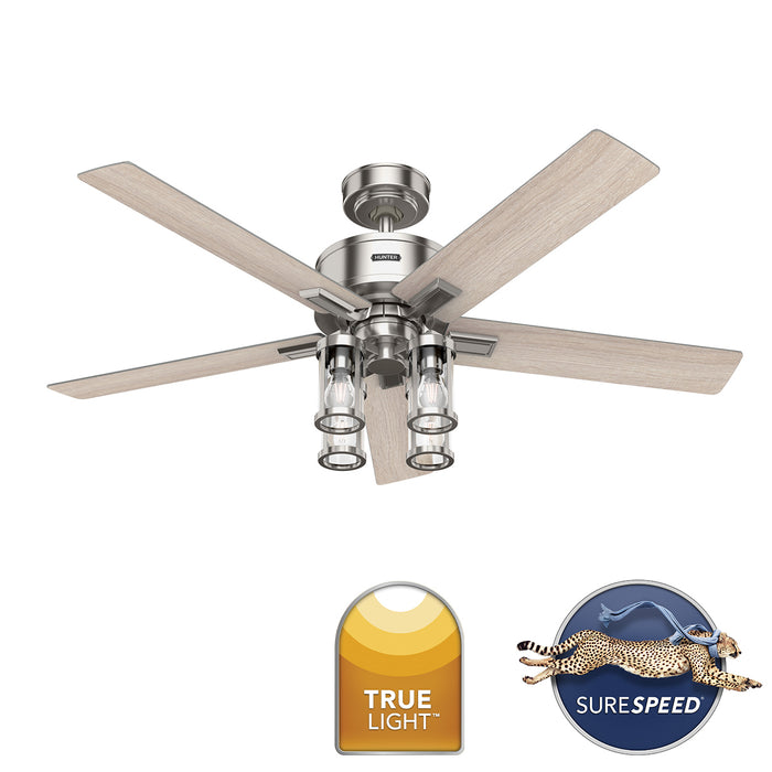 Astwood II 52"Ceiling Fan-Fans-Hunter-Lighting Design Store