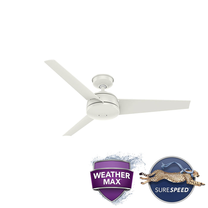 Trimaran 52" Ceiling Fan-Fans-Hunter-Lighting Design Store