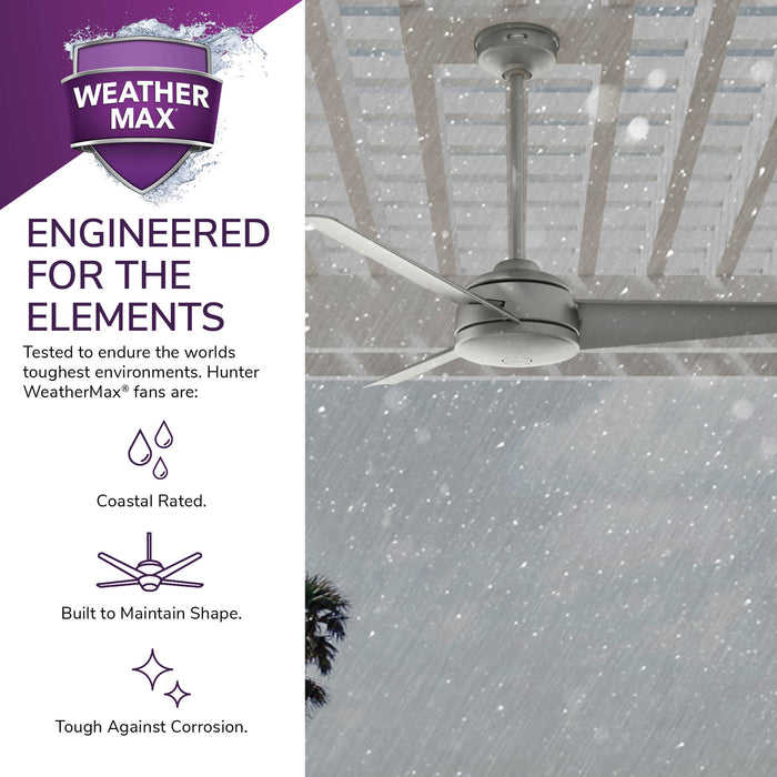 Trimaran 52" Ceiling Fan-Fans-Hunter-Lighting Design Store