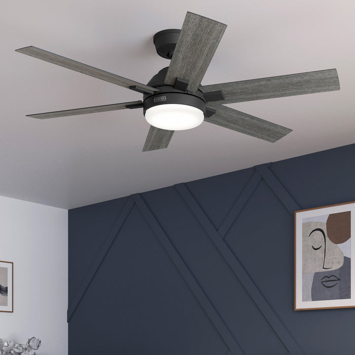 Georgetown 52"Ceiling Fan-Fans-Hunter-Lighting Design Store